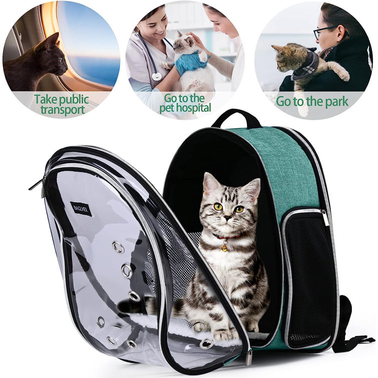 Wayfair 2024 cat carrier